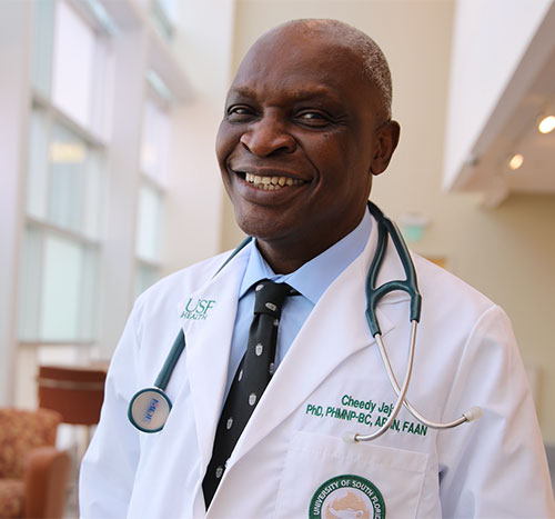 Cheedy Jaja, PhD, MPH, MSN, MN, PMHNP-BC, APRN, FAAN